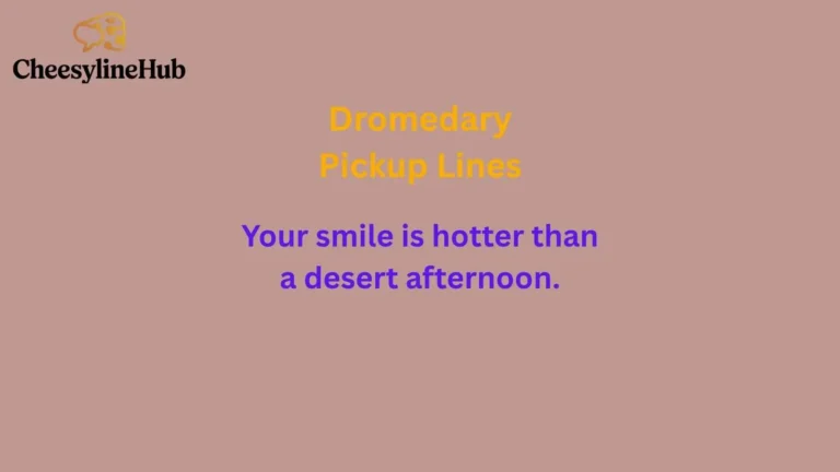 Dromedary Pickup Lines