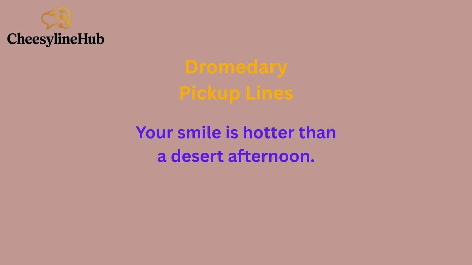 Dromedary Pickup Lines